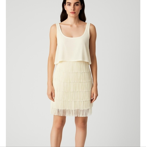 American Eagle Outfitters Ivory Fringe Sleeveless Dress - Picture 12 of 12
